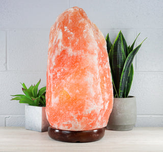Natural Pink Himalayan Salt Lamp 66-88 Lbs