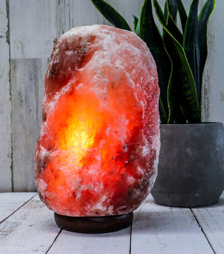 Natural Pink Himalayan Salt Lamp 18-22 Lbs