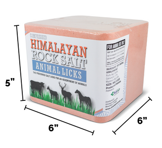 Compressed Himalayan Salt Animal Licks 11 LB