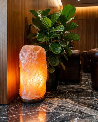 Natural Pink Salt Lamp (220-243 lb) (100-110 KG)