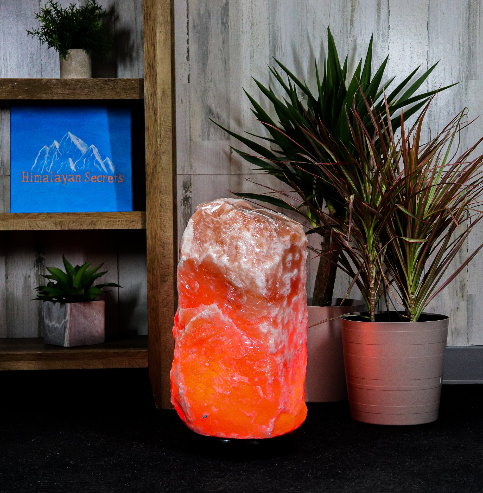 Jumbo Salt Lamps Himalayan Secrets   1000 4 2048x 