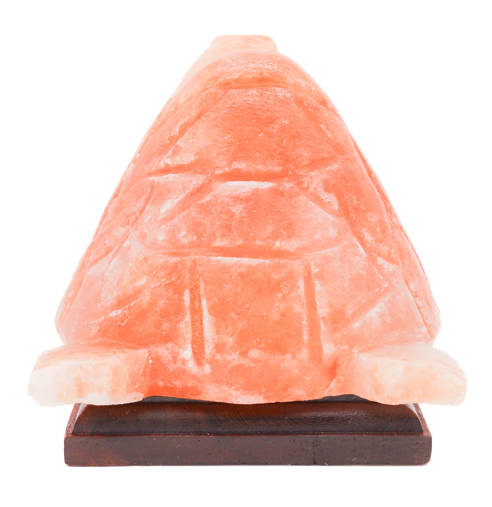 Turtle salt deals lamp